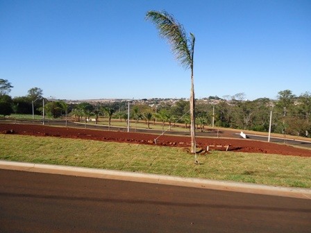 Aliança Imóveis - Imobiliária em Ribeirão Preto - SP - TERRENO - ALPHAVILLE - RIBEIRAO PRETO