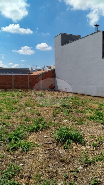 Aliança Imóveis - Imobiliária em Ribeirão Preto - SP - TERRENO - SANTA CECILIA - BONFIM PAULISTA