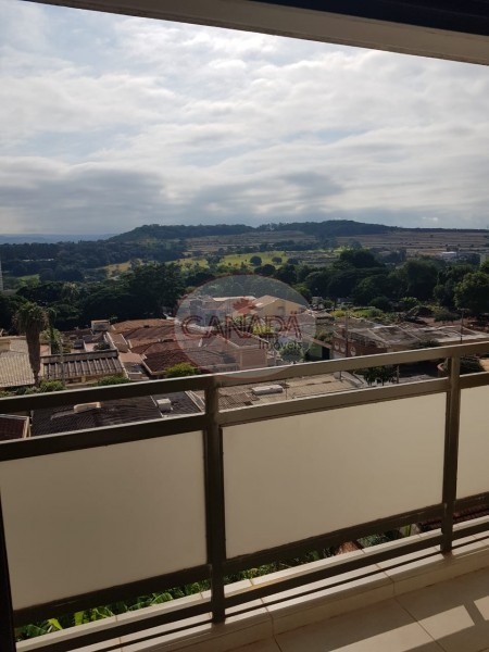 Aliança Imóveis - Imobiliária em Ribeirão Preto - SP - APARTAMENTO - JARDIM PAULISTANO  - RIBEIRAO PRETO