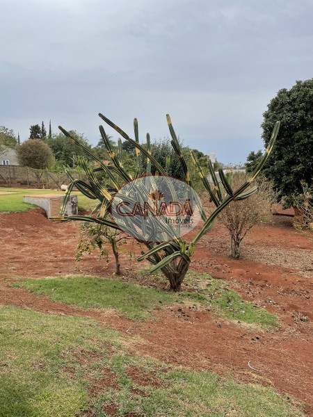 Aliança Imóveis - Imobiliária em Ribeirão Preto - SP - CHACARA - CONDOMÍNIO PANORAMA - RIBEIRAO PRETO