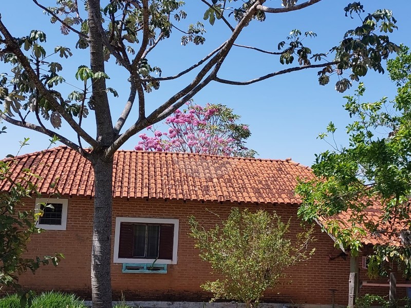 Aliança Imóveis - Imobiliária em Ribeirão Preto - SP - SITIO - SITIO - CAJURU