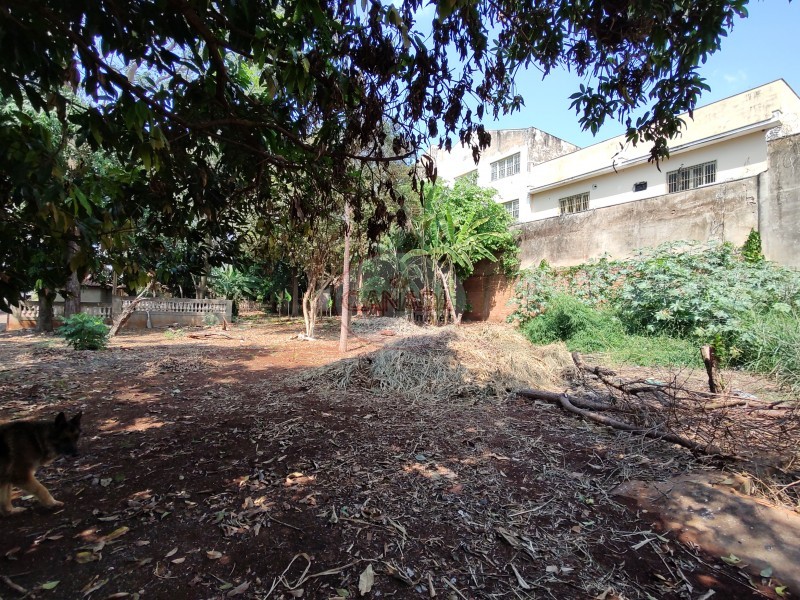 Aliança Imóveis - Imobiliária em Ribeirão Preto - SP - TERRENO - IPIRANGA  - RIBEIRAO PRETO