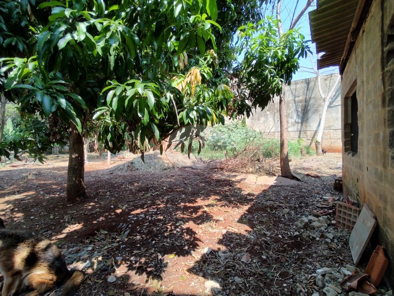 Aliança Imóveis - Imobiliária em Ribeirão Preto - SP - TERRENO - IPIRANGA  - RIBEIRAO PRETO