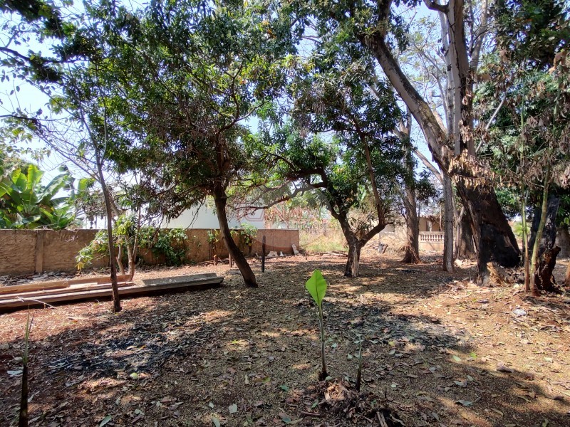 Aliança Imóveis - Imobiliária em Ribeirão Preto - SP - TERRENO - IPIRANGA  - RIBEIRAO PRETO