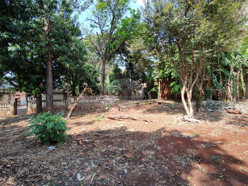 Aliança Imóveis - Imobiliária em Ribeirão Preto - SP - TERRENO - IPIRANGA  - RIBEIRAO PRETO
