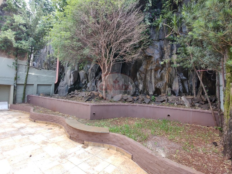 Aliança Imóveis - Imobiliária em Ribeirão Preto - SP - SALAO - JARDIM SUMARE - RIBEIRAO PRETO