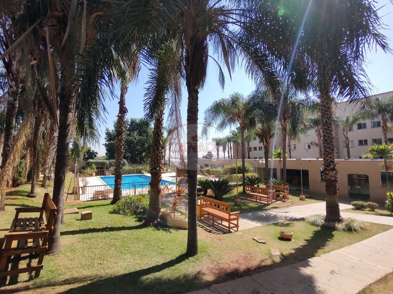 Aliança Imóveis - Imobiliária em Ribeirão Preto - SP - APARTAMENTO - LAGOINHA  - RIBEIRAO PRETO