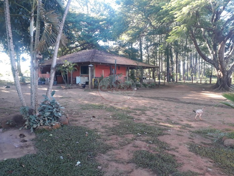 Imóvel: Sitio em Santa Cruz Da Esperança no Bairro Santa Cruz Da Esperança