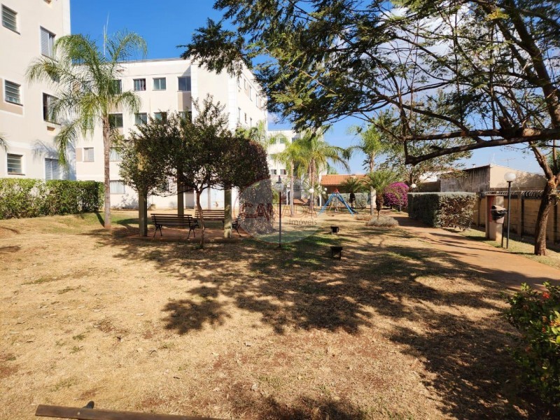 Aliança Imóveis - Imobiliária em Ribeirão Preto - SP - APARTAMENTO - RESIDENCIAL JEQUITIBÁ - RIBEIRAO PRETO