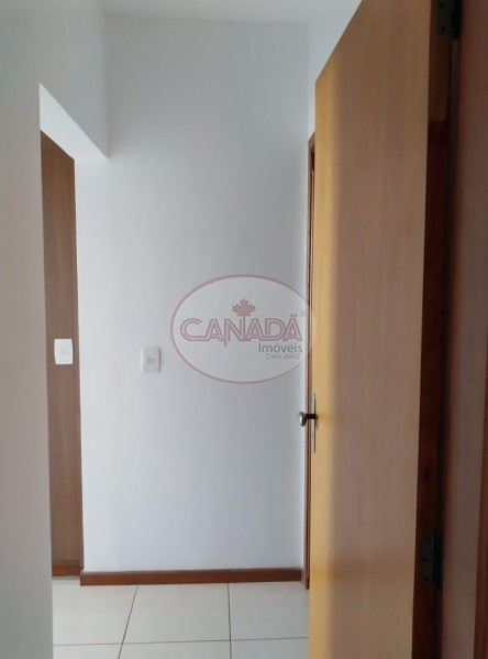 Aliança Imóveis - Imobiliária em Ribeirão Preto - SP - APARTAMENTO - JARDIM PAULISTA  - RIBEIRAO PRETO