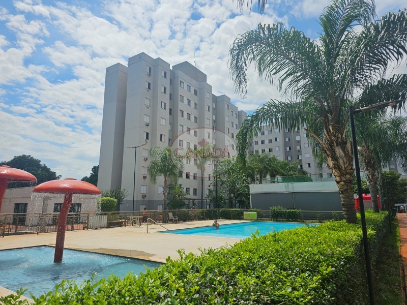 Aliança Imóveis - Imobiliária em Ribeirão Preto - SP - APARTAMENTO - IPIRANGA  - RIBEIRAO PRETO