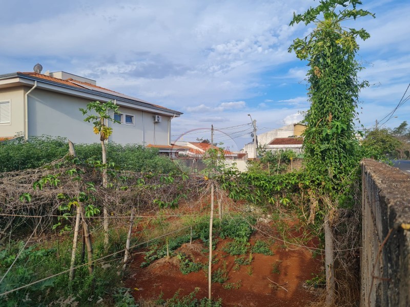Aliança Imóveis - Imobiliária em Ribeirão Preto - SP - TERRENO - JARDIM ANTARTICA - RIBEIRAO PRETO