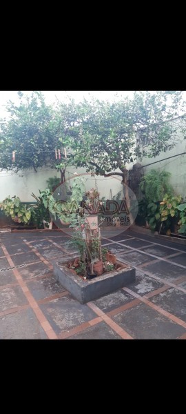 Aliança Imóveis - Imobiliária em Ribeirão Preto - SP - CASA - VILA TAMANDARÉ - RIBEIRAO PRETO