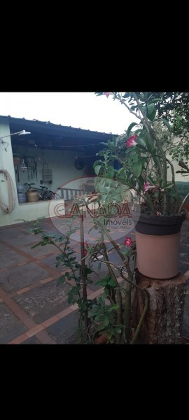 Aliança Imóveis - Imobiliária em Ribeirão Preto - SP - CASA - VILA TAMANDARÉ - RIBEIRAO PRETO
