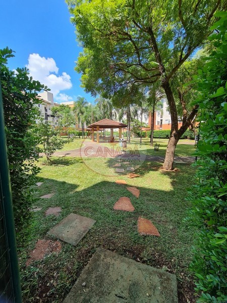 Aliança Imóveis - Imobiliária em Ribeirão Preto - SP - APARTAMENTO - JARDIM SAO JOSE - RIBEIRAO PRETO