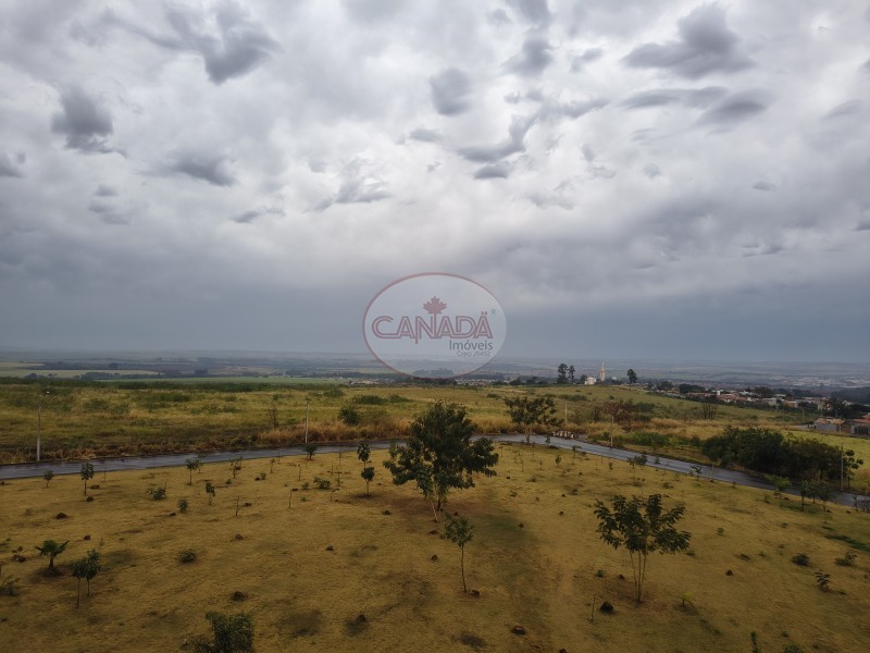 Aliança Imóveis - Imobiliária em Ribeirão Preto - SP - APARTAMENTO - PARQUE DAS OLIVEIRAS - RIBEIRAO PRETO