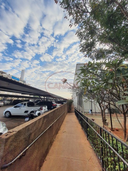 Aliança Imóveis - Imobiliária em Ribeirão Preto - SP - APARTAMENTO - JARDIM ZARA - RIBEIRAO PRETO