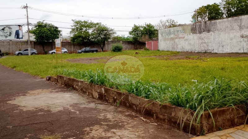 Aliança Imóveis - Imobiliária em Ribeirão Preto - SP - TERRENO - JARDIM CALIFORNIA  - RIBEIRAO PRETO