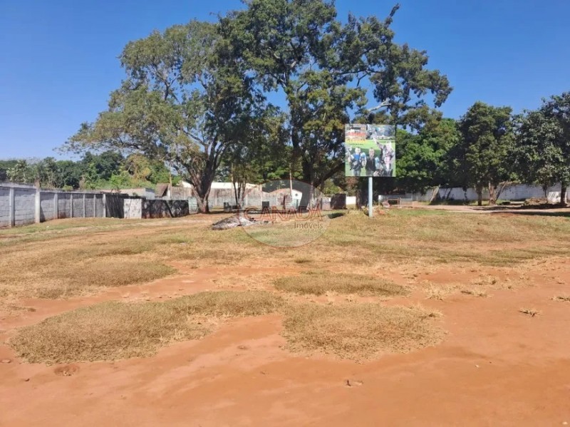 Aliança Imóveis - Imobiliária em Ribeirão Preto - SP - TERRENO - RECREIO INTERNACIONAL - RIBEIRAO PRETO