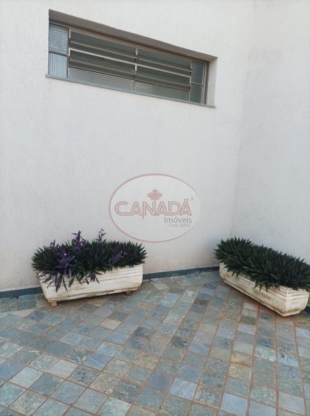 Aliança Imóveis - Imobiliária em Ribeirão Preto - SP - APARTAMENTO - JARDIM MACEDO  - RIBEIRAO PRETO