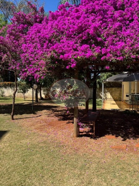 Aliança Imóveis - Imobiliária em Ribeirão Preto - SP - APARTAMENTO - SUMAREZINHO  - RIBEIRAO PRETO