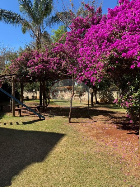Aliança Imóveis - Imobiliária em Ribeirão Preto - SP - APARTAMENTO - SUMAREZINHO  - RIBEIRAO PRETO