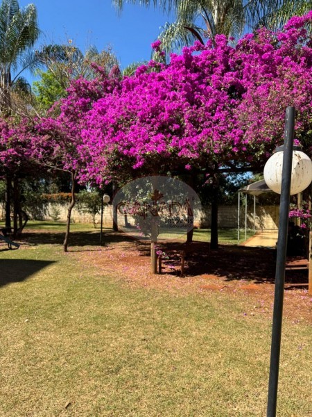 Aliança Imóveis - Imobiliária em Ribeirão Preto - SP - APARTAMENTO - SUMAREZINHO  - RIBEIRAO PRETO