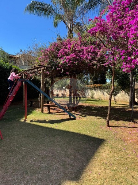 Aliança Imóveis - Imobiliária em Ribeirão Preto - SP - APARTAMENTO - SUMAREZINHO  - RIBEIRAO PRETO