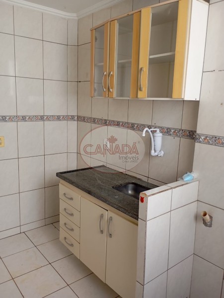 Aliança Imóveis - Imobiliária em Ribeirão Preto - SP - APARTAMENTO - Presidente Médici - RIBEIRAO PRETO