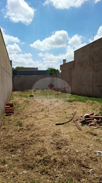 Aliança Imóveis - Imobiliária em Ribeirão Preto - SP - TERRENO - JARDIM JOÃO PONTIN - BONFIM PAULISTA