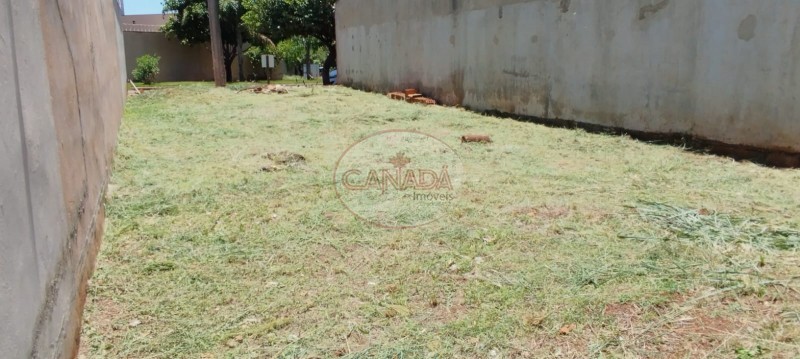 Aliança Imóveis - Imobiliária em Ribeirão Preto - SP - TERRENO - BONFIM PAULISTA - RIBEIRAO PRETO