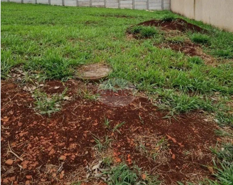 Aliança Imóveis - Imobiliária em Ribeirão Preto - SP - TERRENO - SANTA MARTHA - RIBEIRAO PRETO