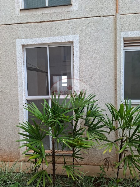 Aliança Imóveis - Imobiliária em Ribeirão Preto - SP - APARTAMENTO - RESERVA REAL - RIBEIRAO PRETO