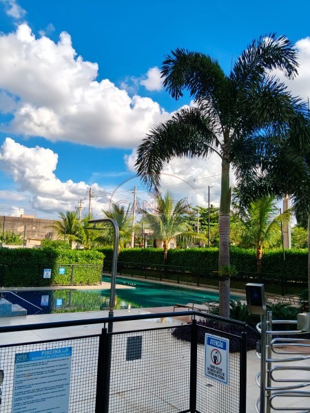 Aliança Imóveis - Imobiliária em Ribeirão Preto - SP - APARTAMENTO - JARDIM PAULISTANO  - RIBEIRAO PRETO