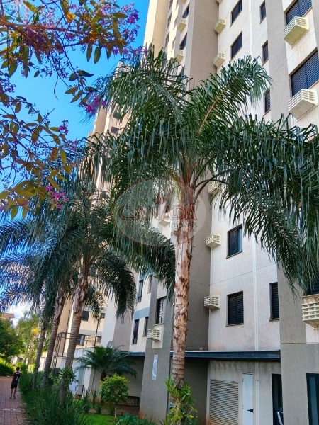 Aliança Imóveis - Imobiliária em Ribeirão Preto - SP - APARTAMENTO - JARDIM PAULISTANO  - RIBEIRAO PRETO