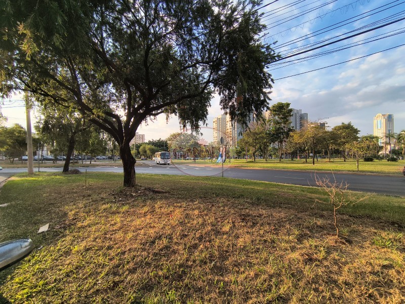 Aliança Imóveis - Imobiliária em Ribeirão Preto - SP - APARTAMENTO - NOVA ALIANÇA  - RIBEIRAO PRETO