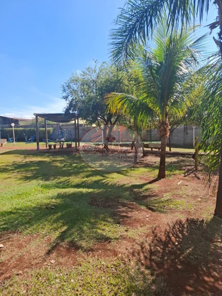 Aliança Imóveis - Imobiliária em Ribeirão Preto - SP - APARTAMENTO - RIBEIRANIA - RIBEIRAO PRETO