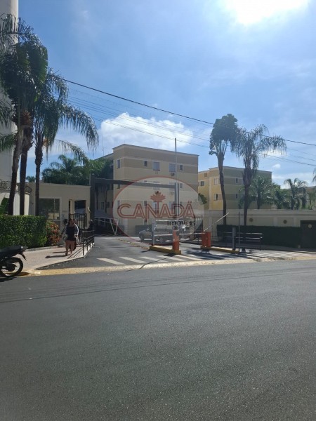 Aliança Imóveis - Imobiliária em Ribeirão Preto - SP - APARTAMENTO - RIBEIRANIA - RIBEIRAO PRETO