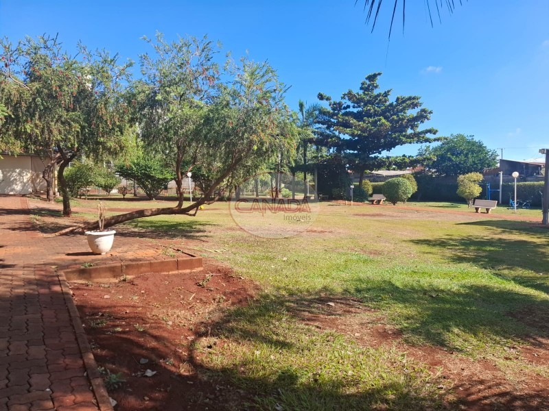 Aliança Imóveis - Imobiliária em Ribeirão Preto - SP - APARTAMENTO - RIBEIRANIA - RIBEIRAO PRETO