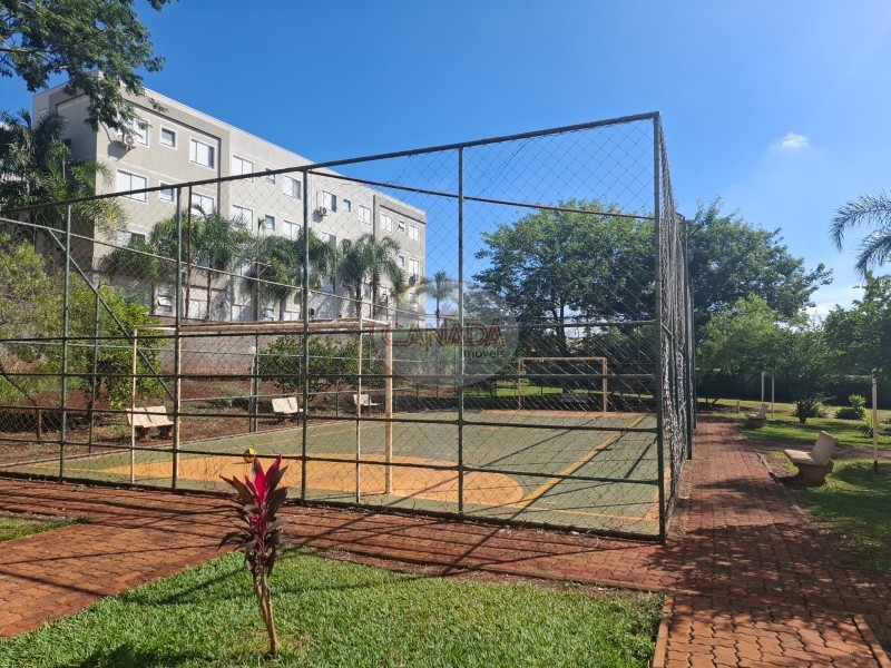 Aliança Imóveis - Imobiliária em Ribeirão Preto - SP - APARTAMENTO - RIBEIRANIA - RIBEIRAO PRETO