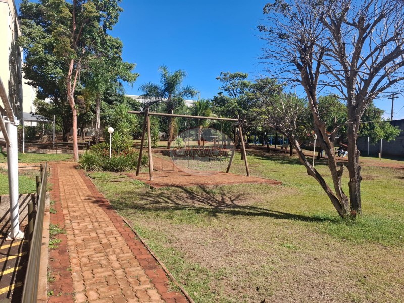 Aliança Imóveis - Imobiliária em Ribeirão Preto - SP - APARTAMENTO - RIBEIRANIA - RIBEIRAO PRETO