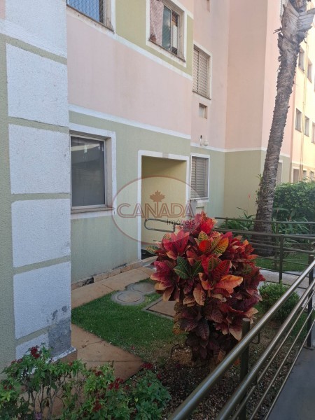 Aliança Imóveis - Imobiliária em Ribeirão Preto - SP - APARTAMENTO - RIBEIRANIA - RIBEIRAO PRETO