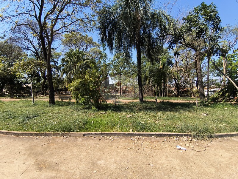 Aliança Imóveis - Imobiliária em Ribeirão Preto - SP - CASA - SUMAREZINHO  - RIBEIRAO PRETO
