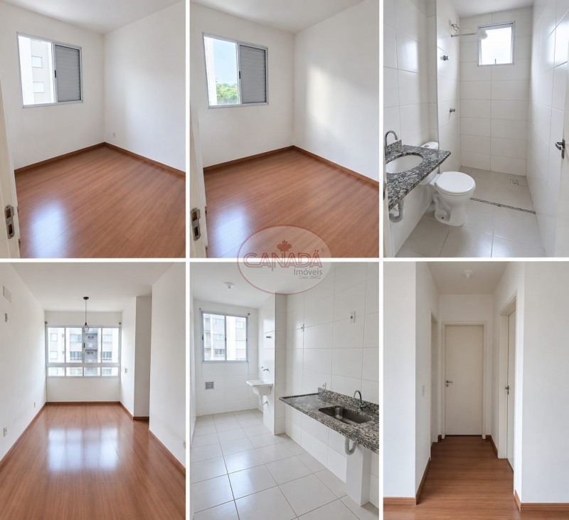 Aliança Imóveis - Imobiliária em Ribeirão Preto - SP - APARTAMENTO - IPIRANGA  - RIBEIRAO PRETO