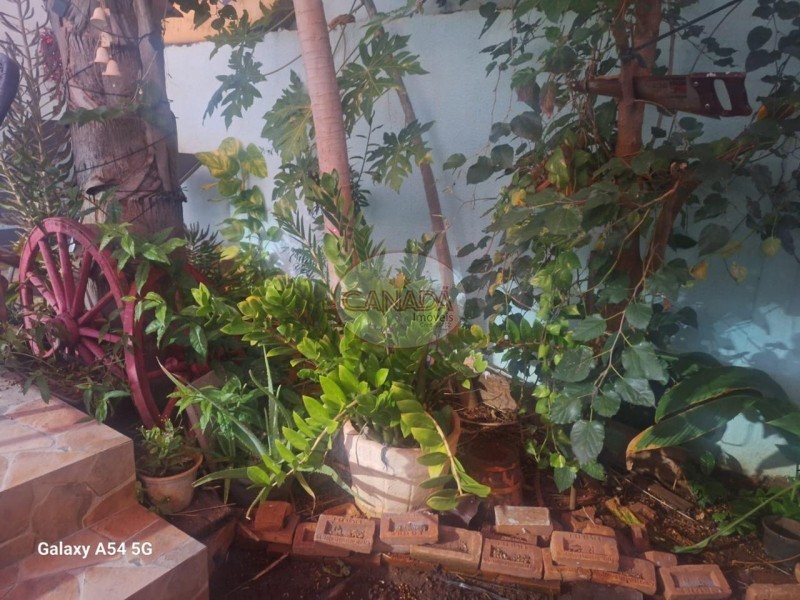 Aliança Imóveis - Imobiliária em Ribeirão Preto - SP - CASA - VILA ALBERTINA - RIBEIRAO PRETO