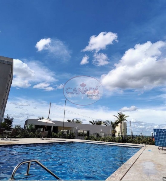 Aliança Imóveis - Imobiliária em Ribeirão Preto - SP - APARTAMENTO - RECREIO DAS ACACIAS - RIBEIRAO PRETO