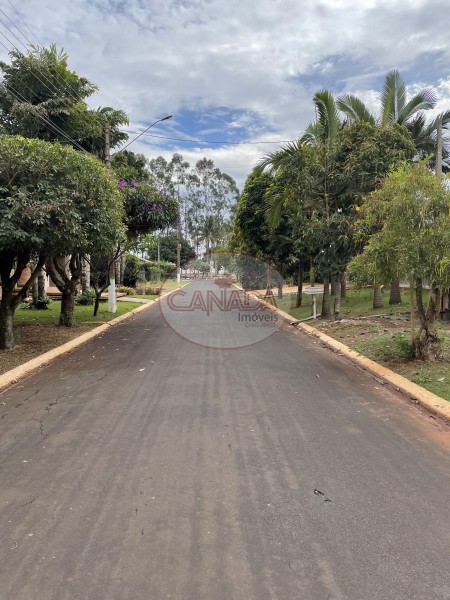 Terreno, 1300 m² - Foto 3