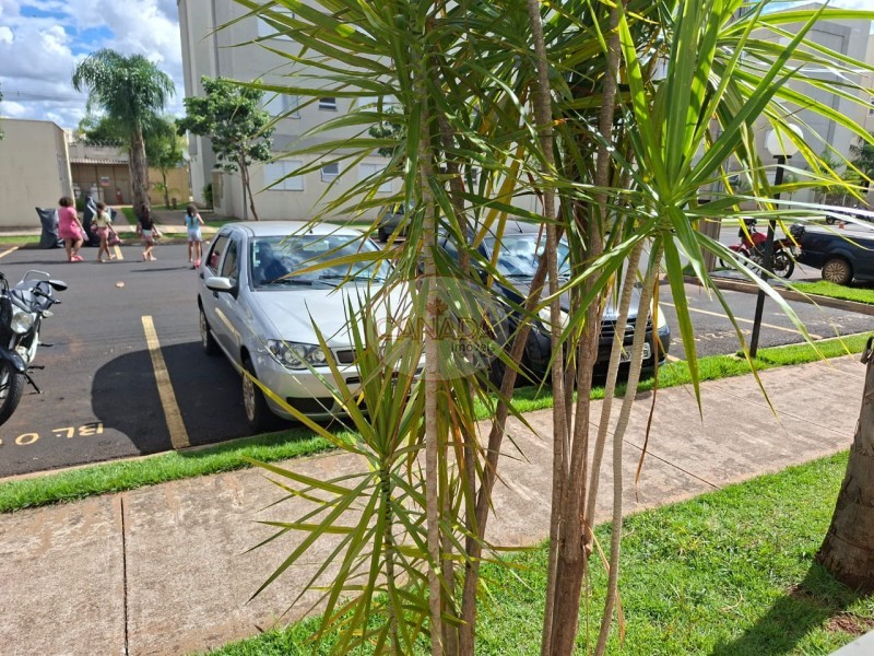 Apartamento, 2 quartos, 38 m² - Foto 4