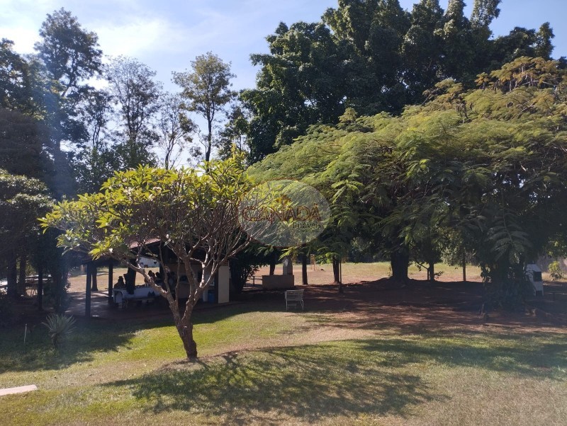 Apartamento, 3 quartos, 66 m² - Foto 15